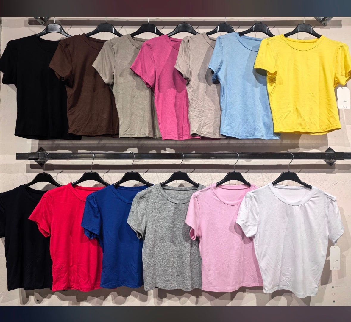 Camisetas básicas